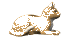 Cool cat!!!!